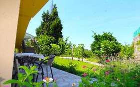 Apartments Stevan